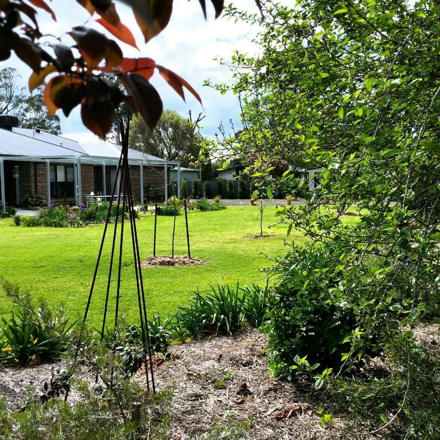 Kennedy House Euroa Perfect For Short Term Stays Esterno foto